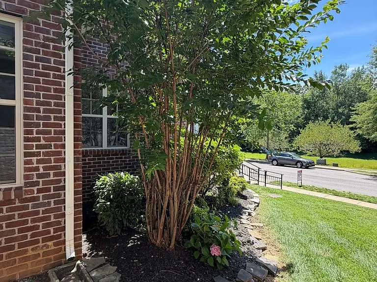 266 Turnberry Cir — Photo 3