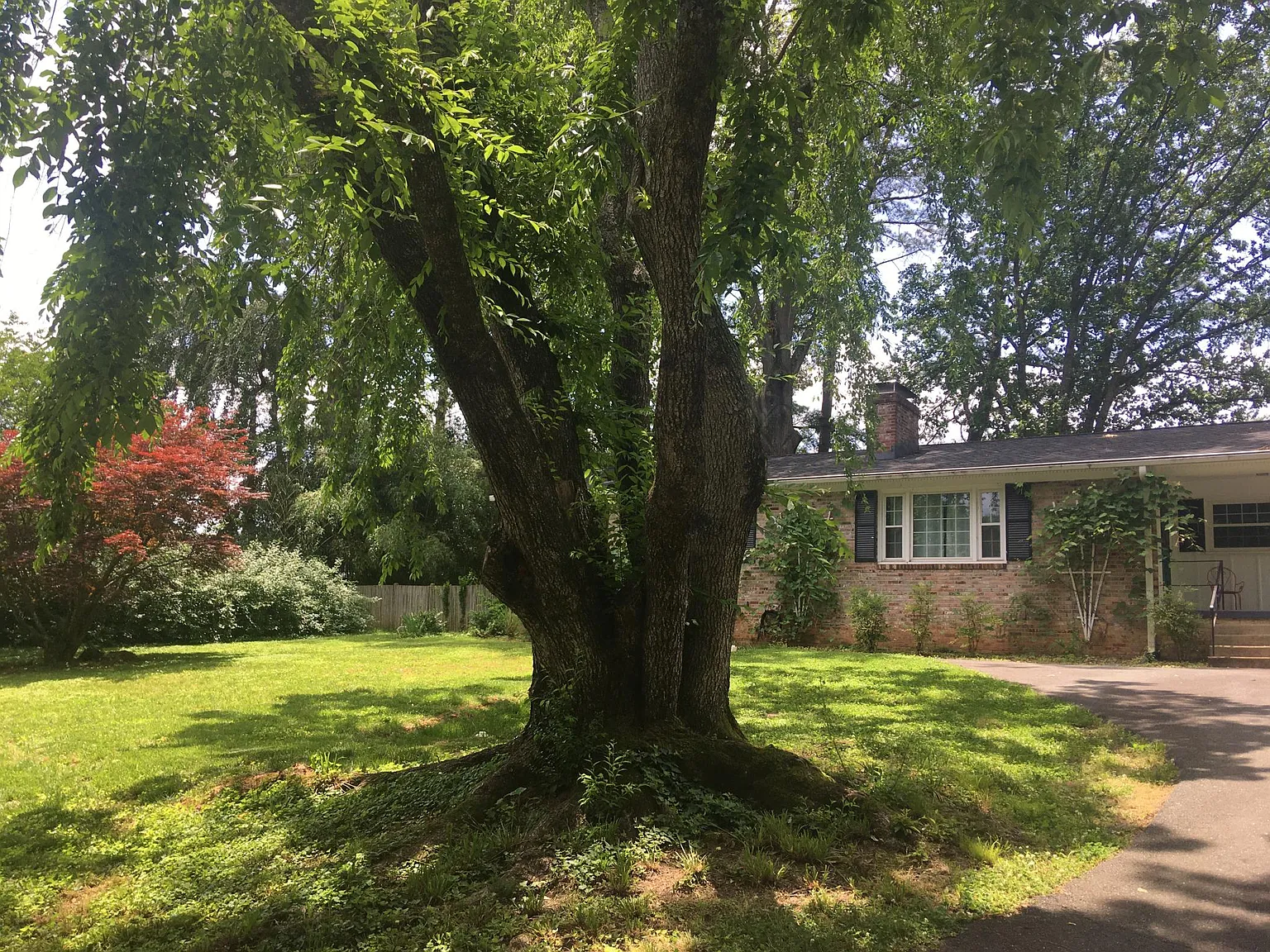 1402 Lester Dr photo 1