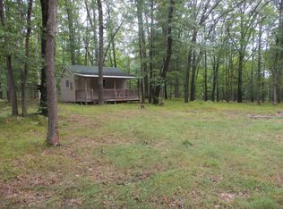 8842 W Kobe Ln, Irons, MI 49644