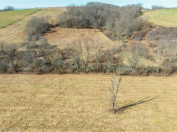 5th image of Eckley Rd