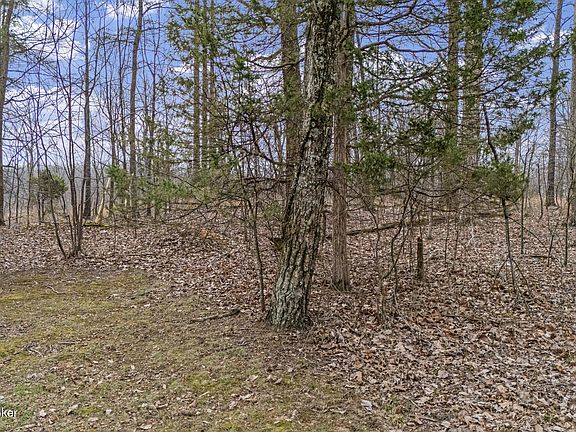 3rd image of 0 Ponderosa Pl
