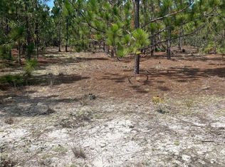 Ppf 9 Payne Pond Rd #PPF-9, Westville, SC 29175