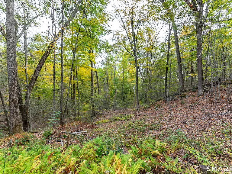 38 W Mountain Ln — Photo 26