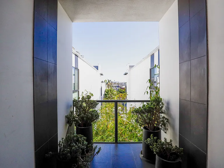 Interior Courtyard of Cole Grove by Wiseman