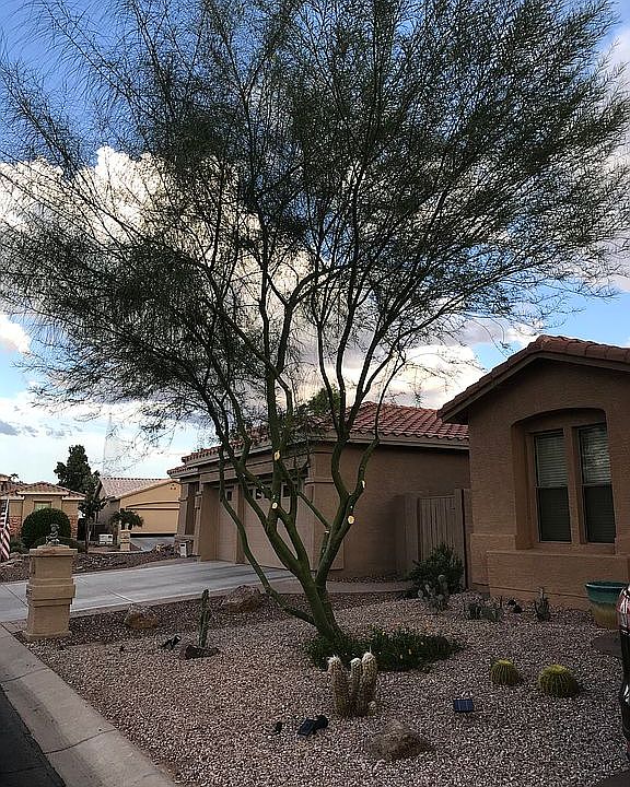 Front Yard
