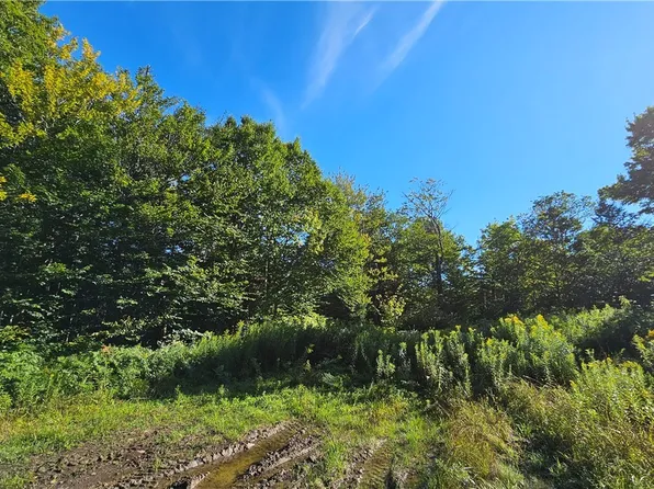 0 Rowsam Rd Lot 1, Martinsburg, NY 13404