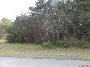 241 N Highview Ave, Hernando, FL 34442