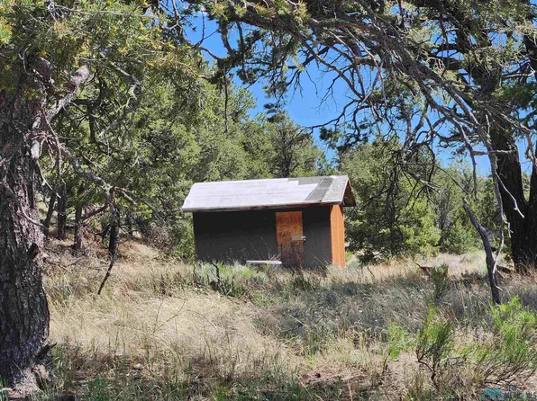 465 Starfire Drive Rd, Quemado, NM 87829