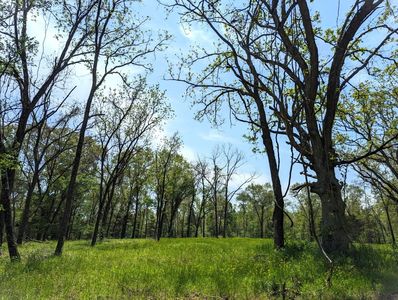 000 State Highway 248, Galena, MO, 65656