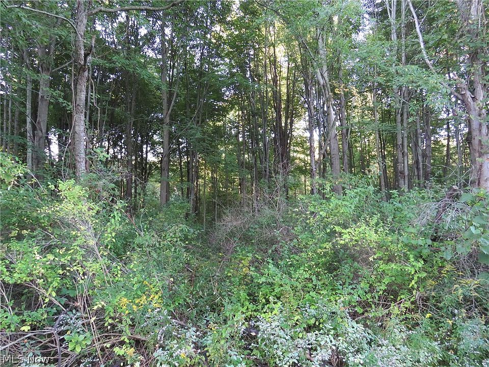 2nd image of 0 Village Green Dr