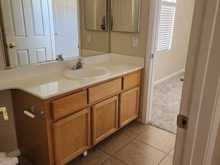 2712 Cricket Hollow Ct — Photo 10