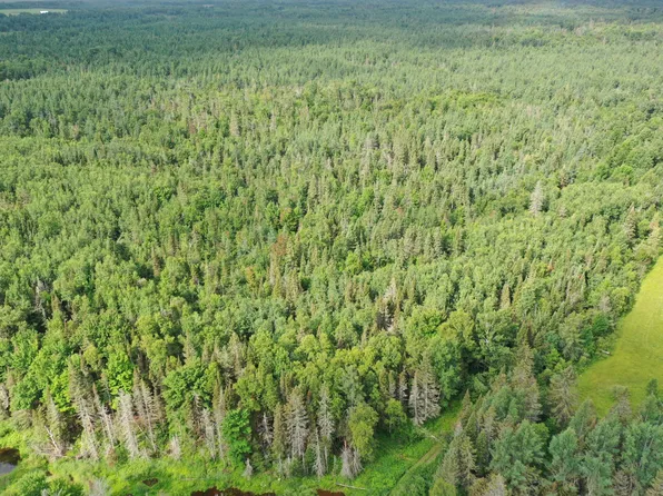 W Mills Rd, Brimley, MI 49715