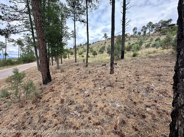77 Stable Ct, Alto, NM 88312