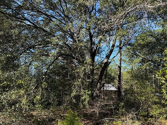 3rd image of LOT 21 Grassy Pond Rd