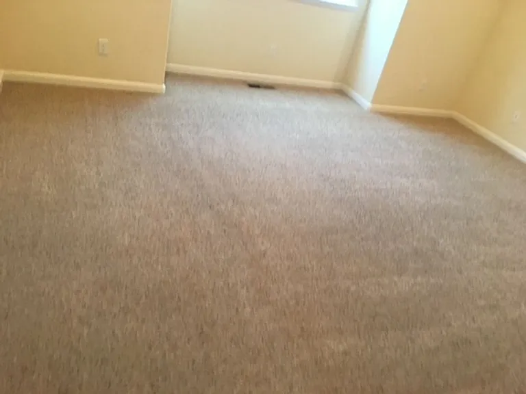 715 Bodega Ave — Photo 19