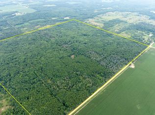 354 Twelve Mile Rd, Remus, MI 49340