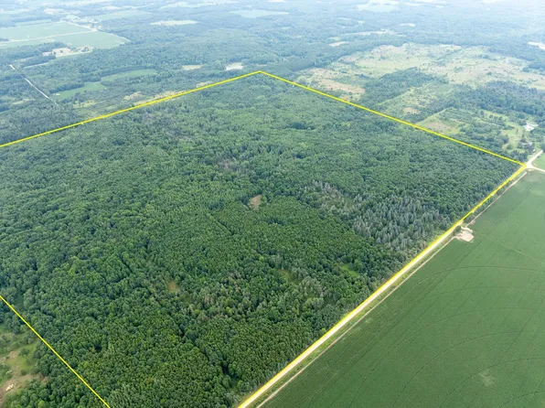 354 Twelve Mile Rd, Remus, MI 49340