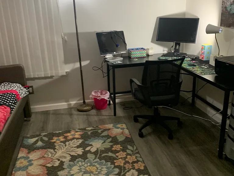 Office /Monitors and Printer (Basic Needs)