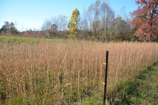 2nd image of Old Rockford Rd Nc