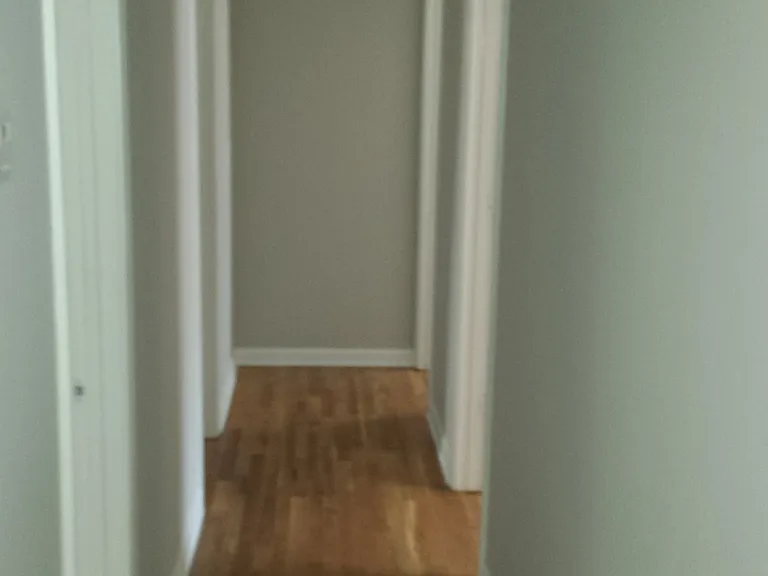 503 Hollow Ct — Photo 7