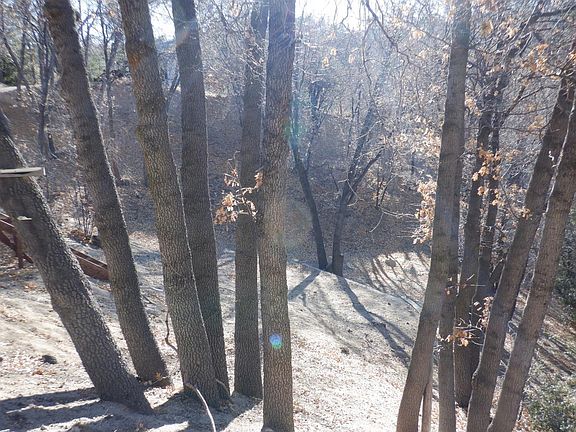 5th image of 32930 Canyon Dr