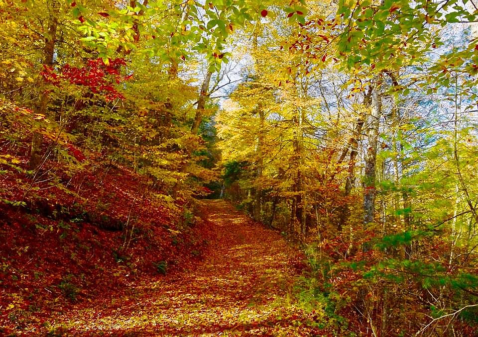 1st image of 7100 Slab Camp Rd