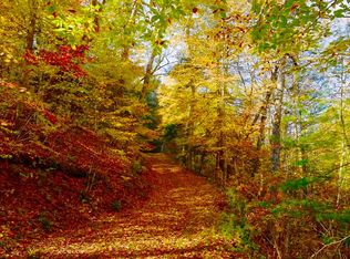 7100 Slab Camp Rd, White Sulphur Springs, WV 24986