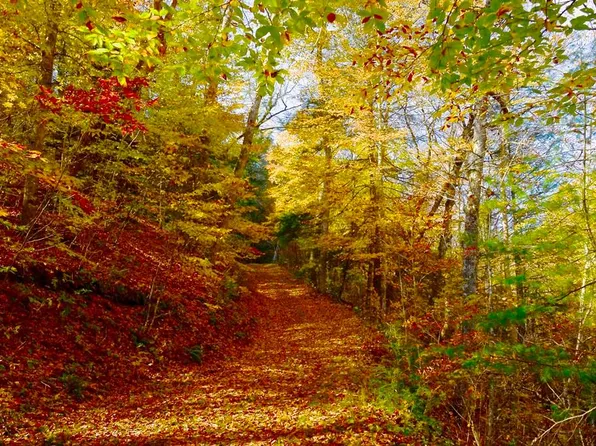 7100 Slab Camp Rd, White Sulphur Springs, WV 24986