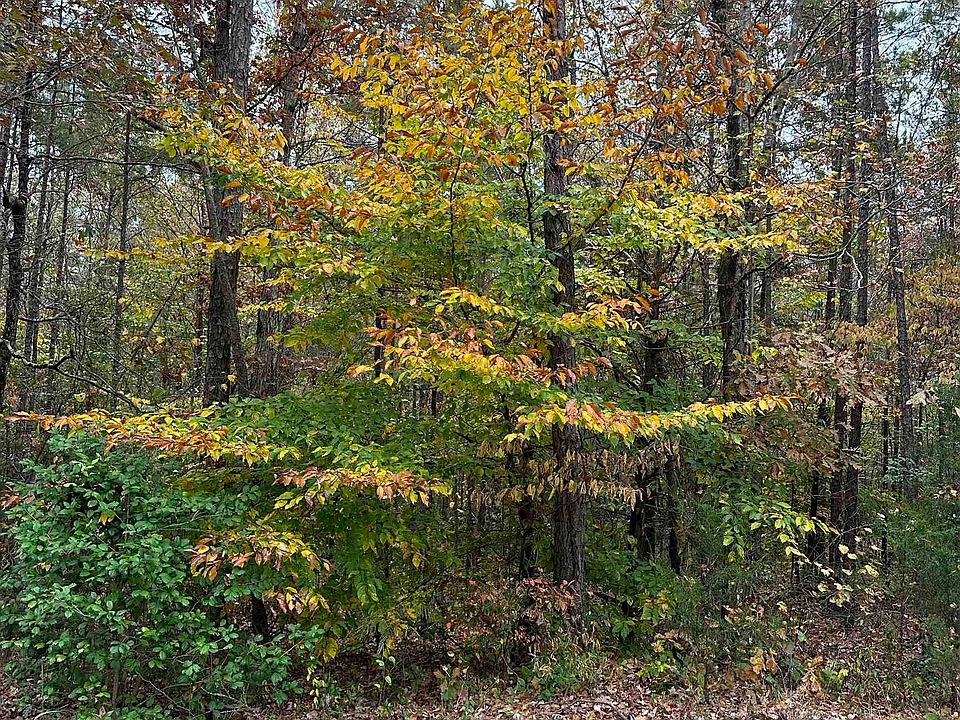 2nd image of Sulphur Springs Rd