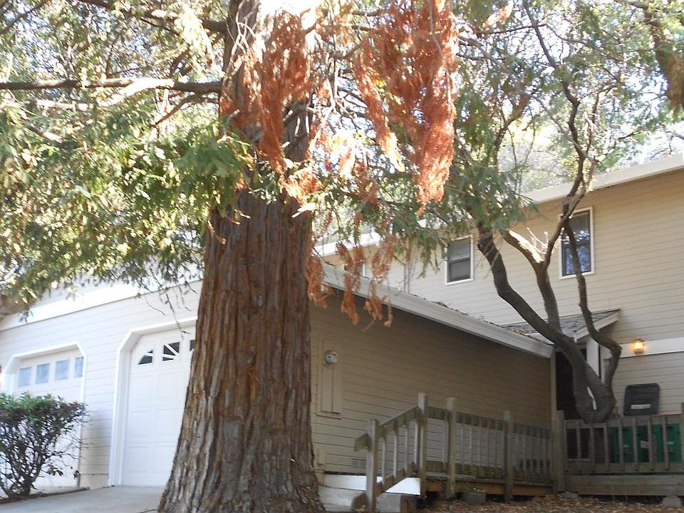 1st image of 2711 Hopi Ct