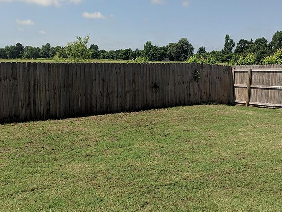 Back yard