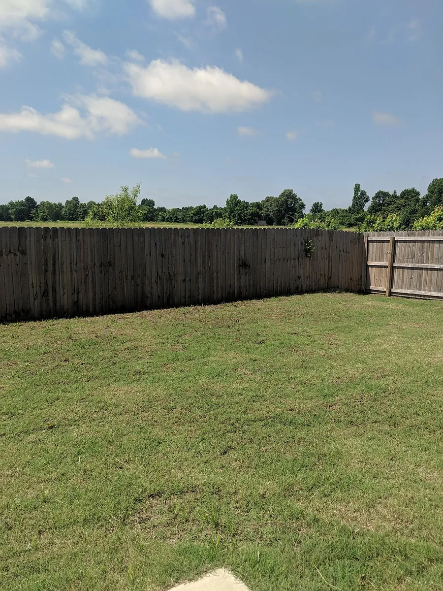 Back yard - 3867 Saddlecrest Dr