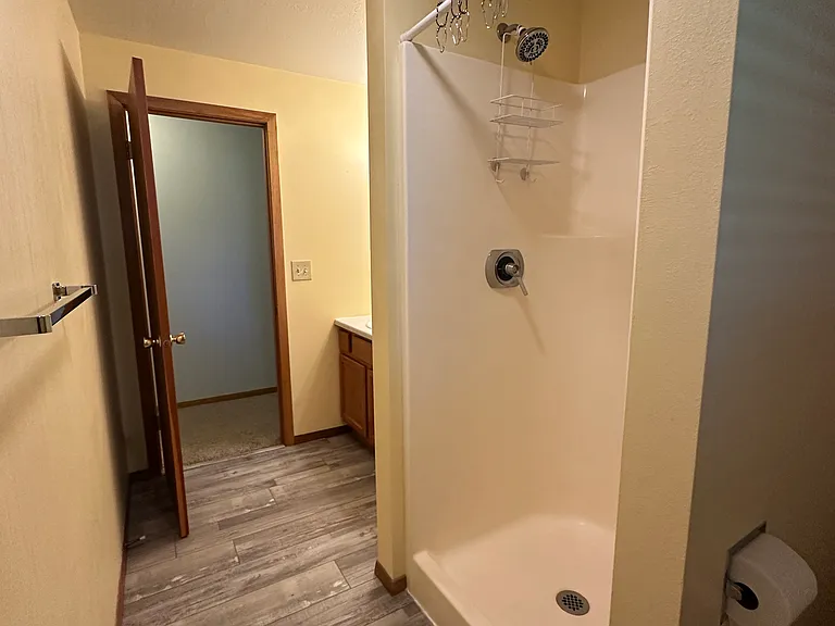 Basement bathroom