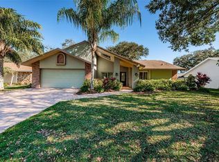 3663 Hollow Trail Ct, Palm Harbor, FL 34684