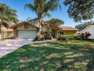 3663 Hollow Trail Ct, Palm Harbor, FL, 34684