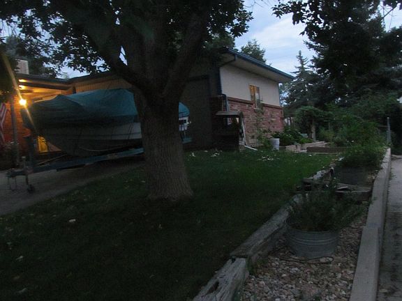 South Side Yard w/ ash tree