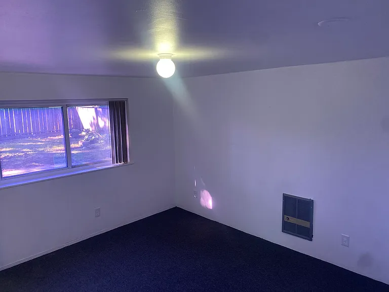 Freshly painted living room