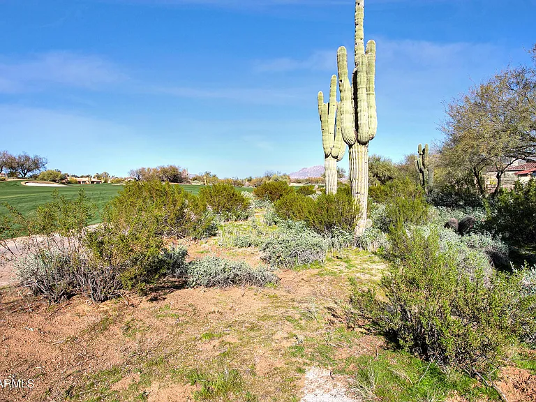 20802 Grayhawk Dr #1002 — Photo 43