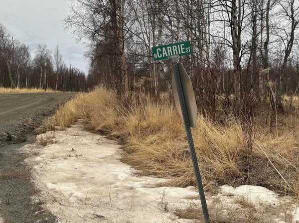 6234 N Carrie St, Wasilla, AK 99654