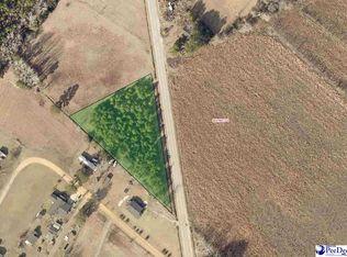 7138 1/2 Meadow Prong Rd, Effingham, SC 29541