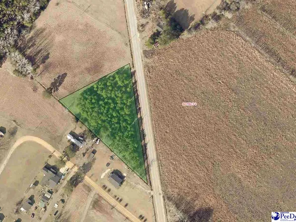 Meadow Prong Rd, Effingham, SC 29541