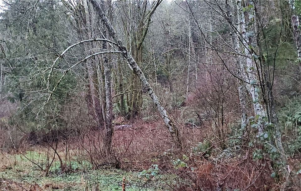 2nd image of 9142 Bordeaux Rd SW