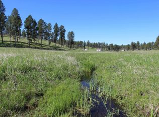 LOT 4 S Star Dr, Custer, SD 57730