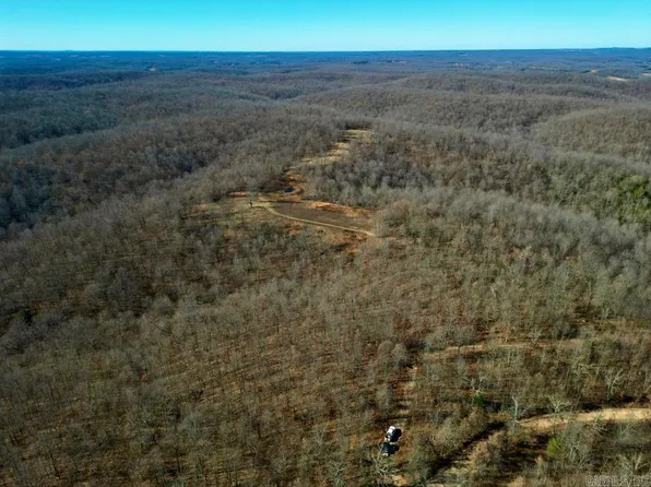 (undisclosed Address), Ravenden Springs, AR 72460