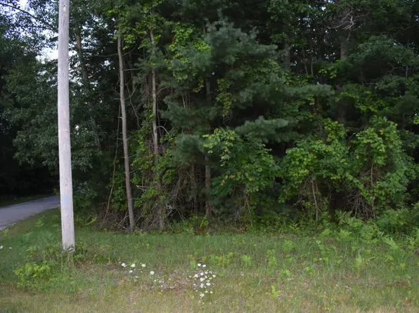 E Cedar Lake Dr, Greenbush, MI 48738