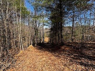 4th image of Orb Cordell Rd