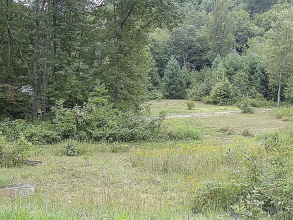 5th image of 503 Carson Woods Rd