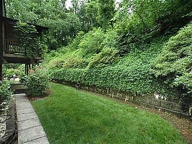 5th image of 114 Larchwood Dr