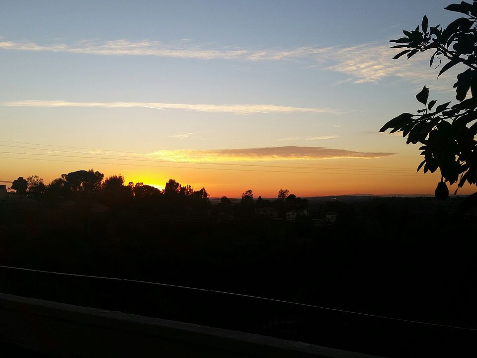 1st image of 705 S Canyon Mist Ln