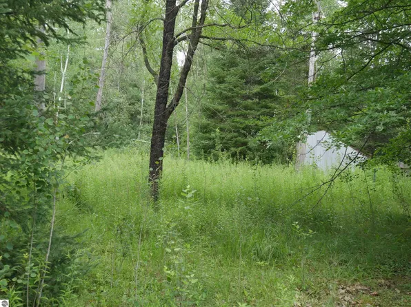 2964 Maple Rd, Hale, MI 48739